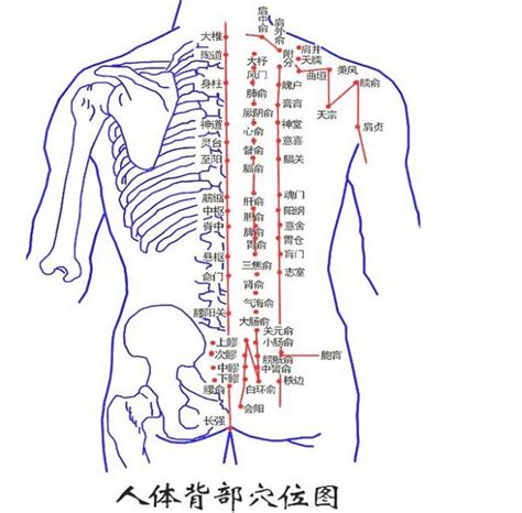 背部痣吉凶|女人背部痣相与命运图解：痣的位置决定命运？